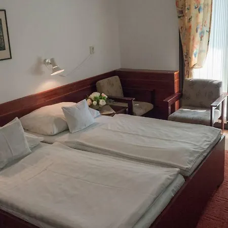 Medical Center 3* Hévíz